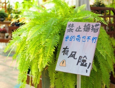 產品圖片