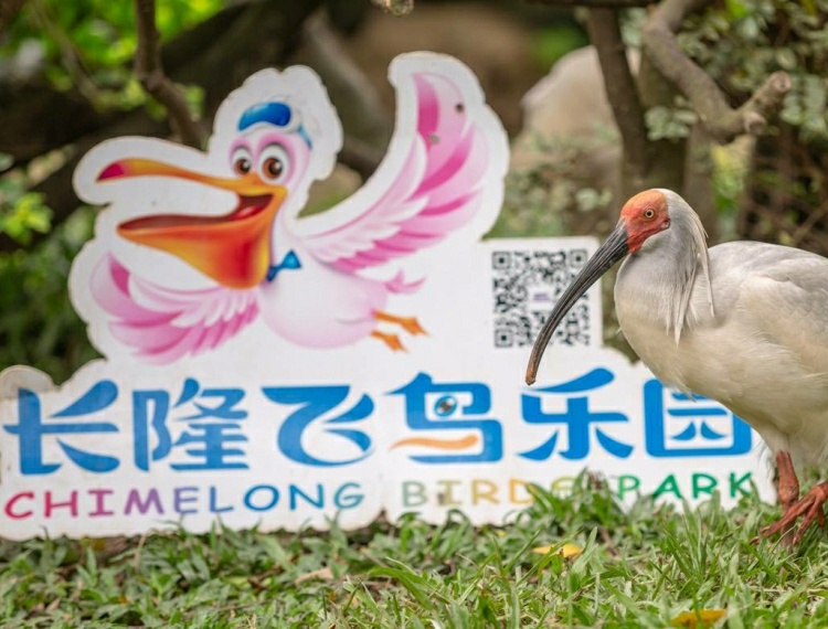 【週年慶】廣州長隆飛鳥樂園門票