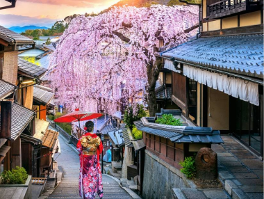 城市介紹