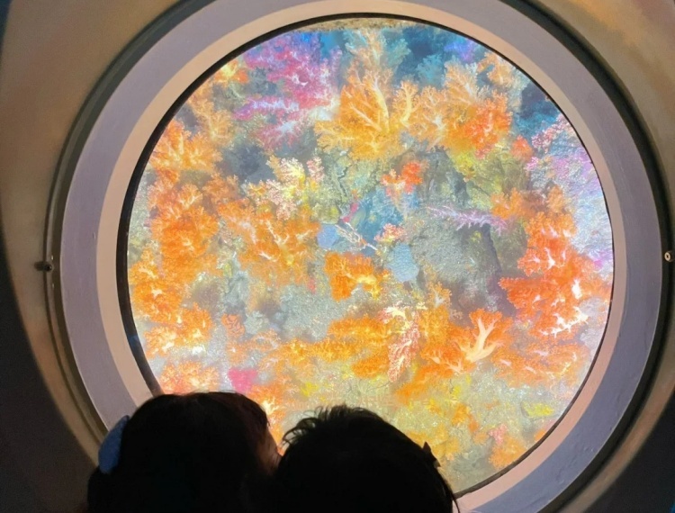 產品圖片