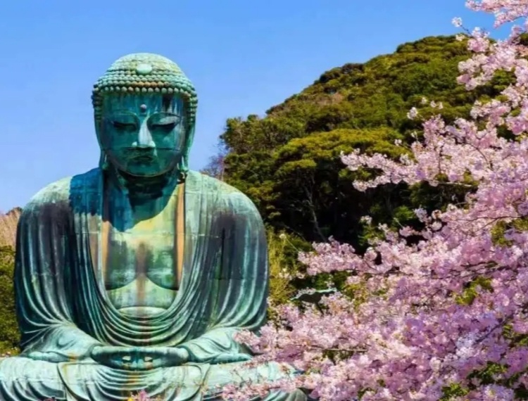 大圖
