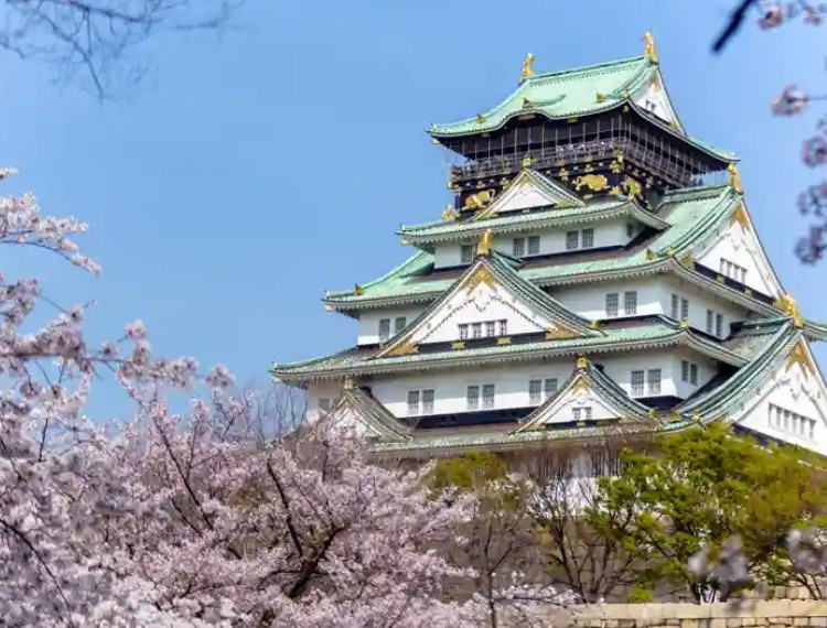 城市介紹